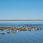 Am Kurpark Norddeich Feriehus Norden
