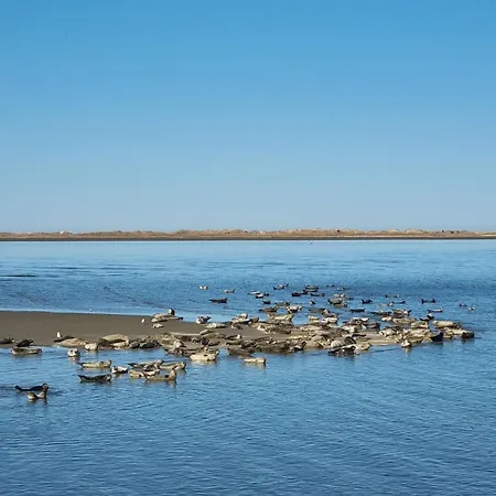 Am Kurpark Norddeich בית נופש נורדן